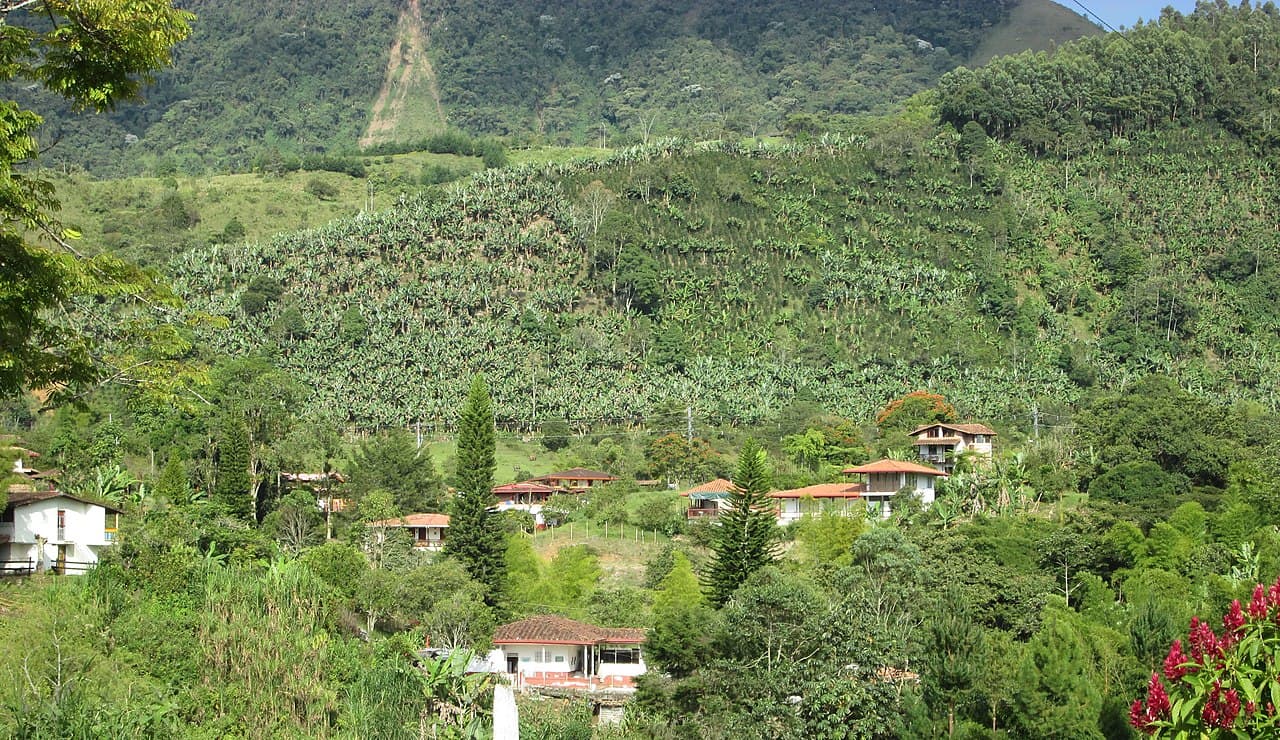 Andean highlands landscape near the Embera Chamí territory outside Jardín