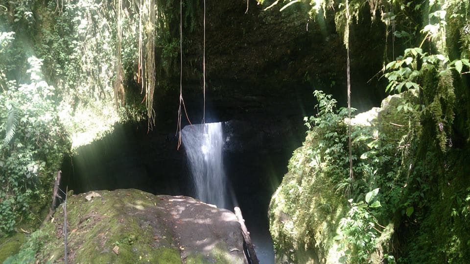 Crystal clear natural swimming pool surrounded by lush vegetation near Jardín