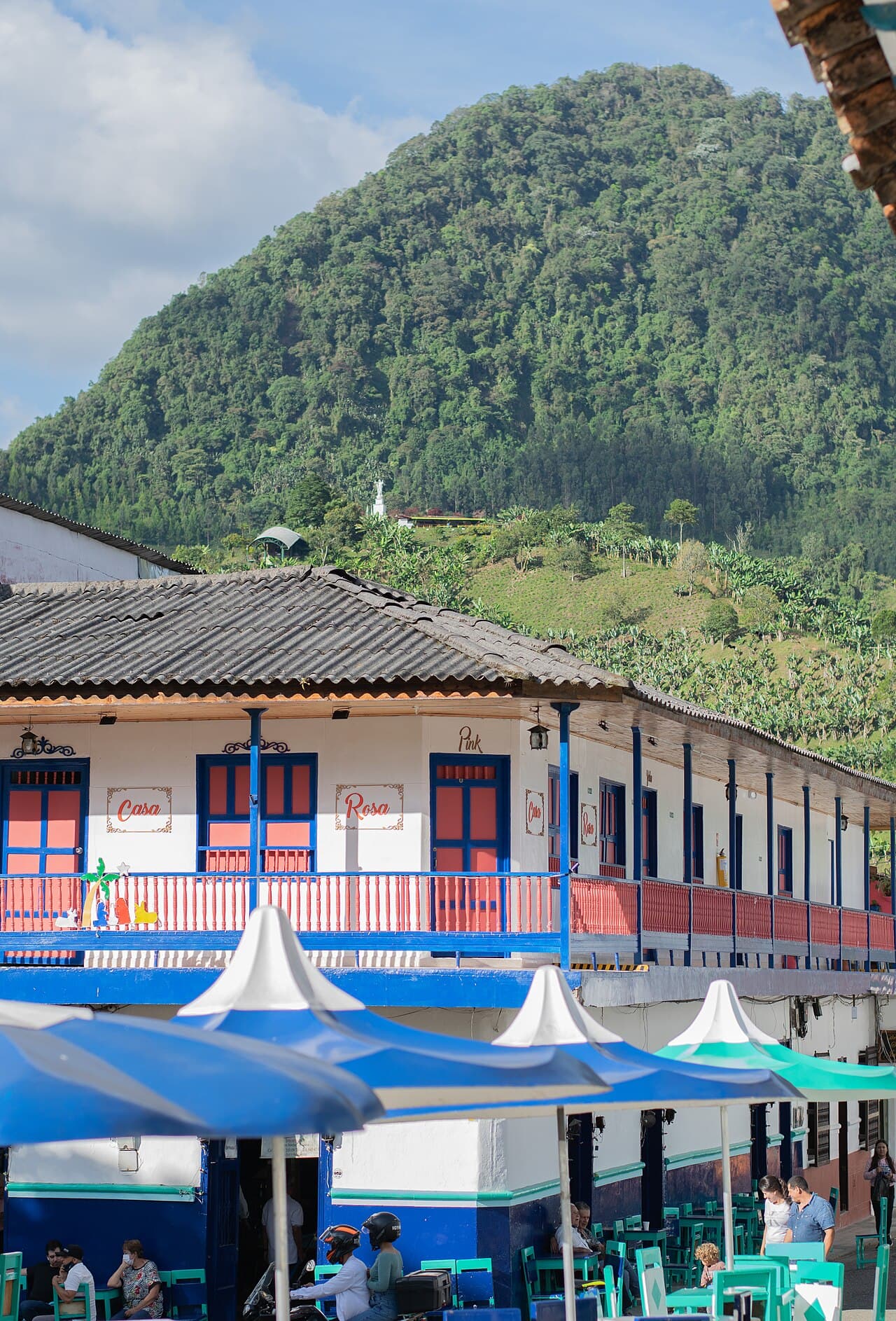 White horse in a mountain landscape