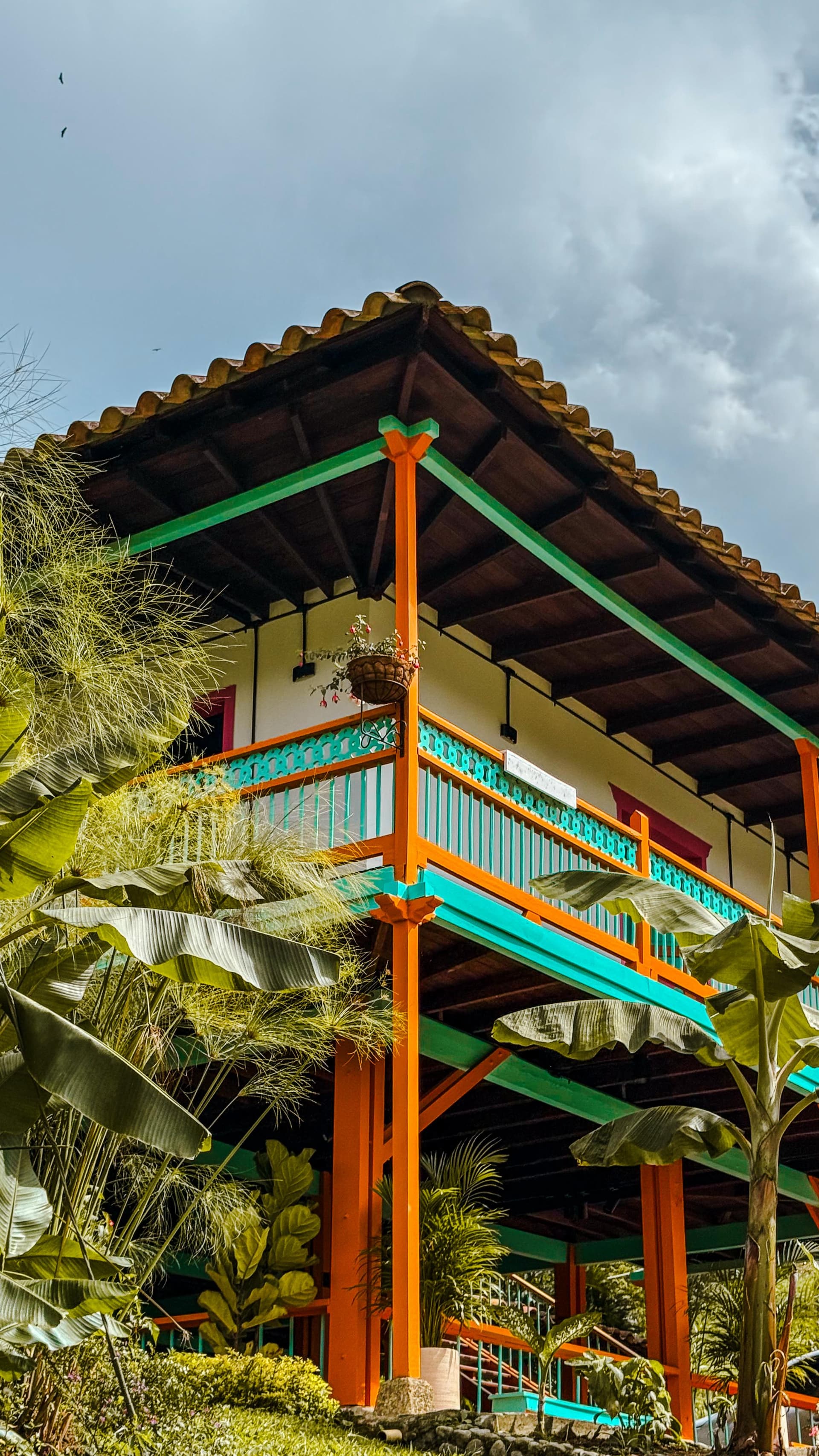 The illuminated plaza of Jardín at night with the Basilica glowing in the background