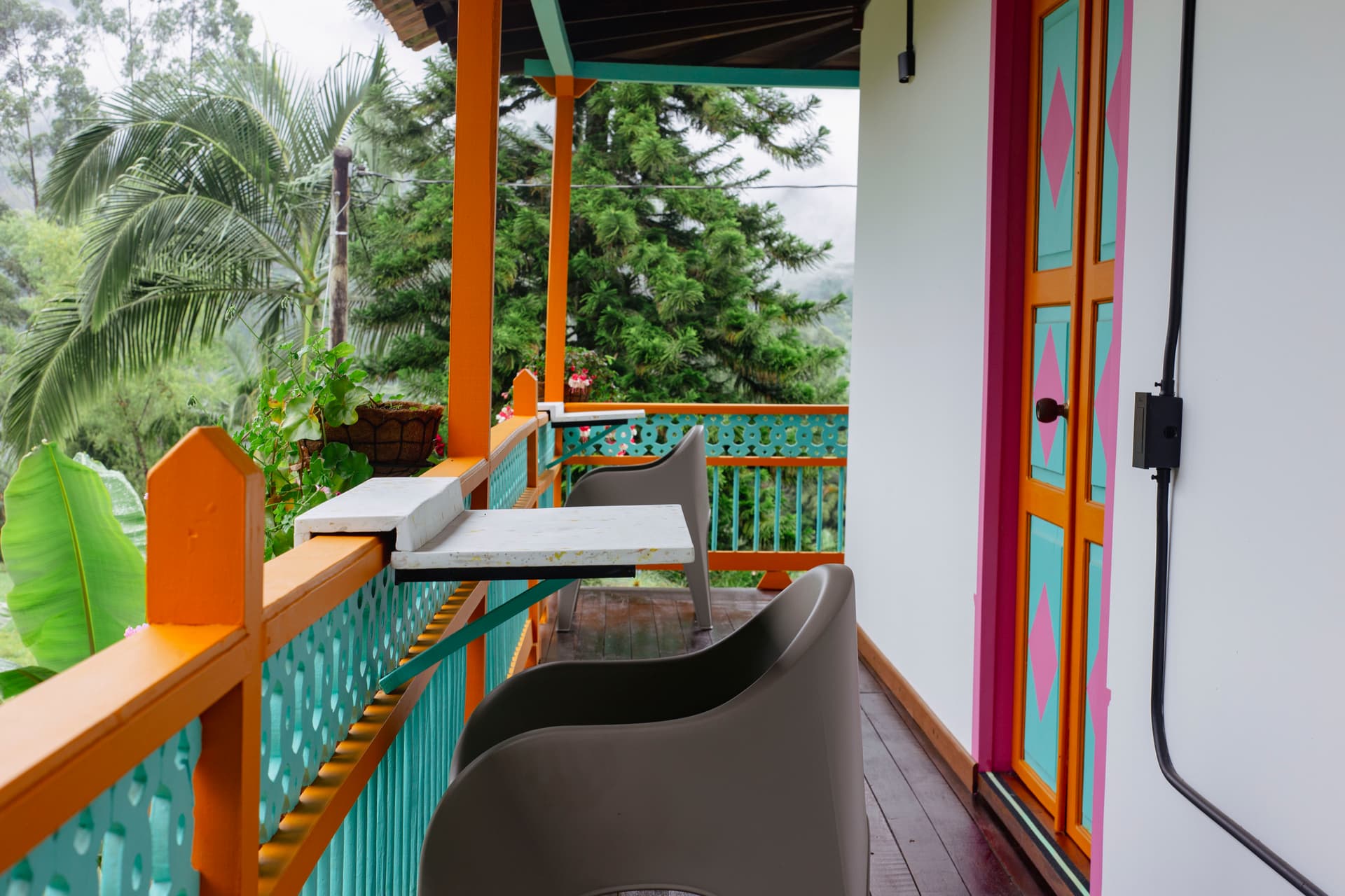 Early morning birdwatching in the cloud forest near Jardín with binoculars and field guide