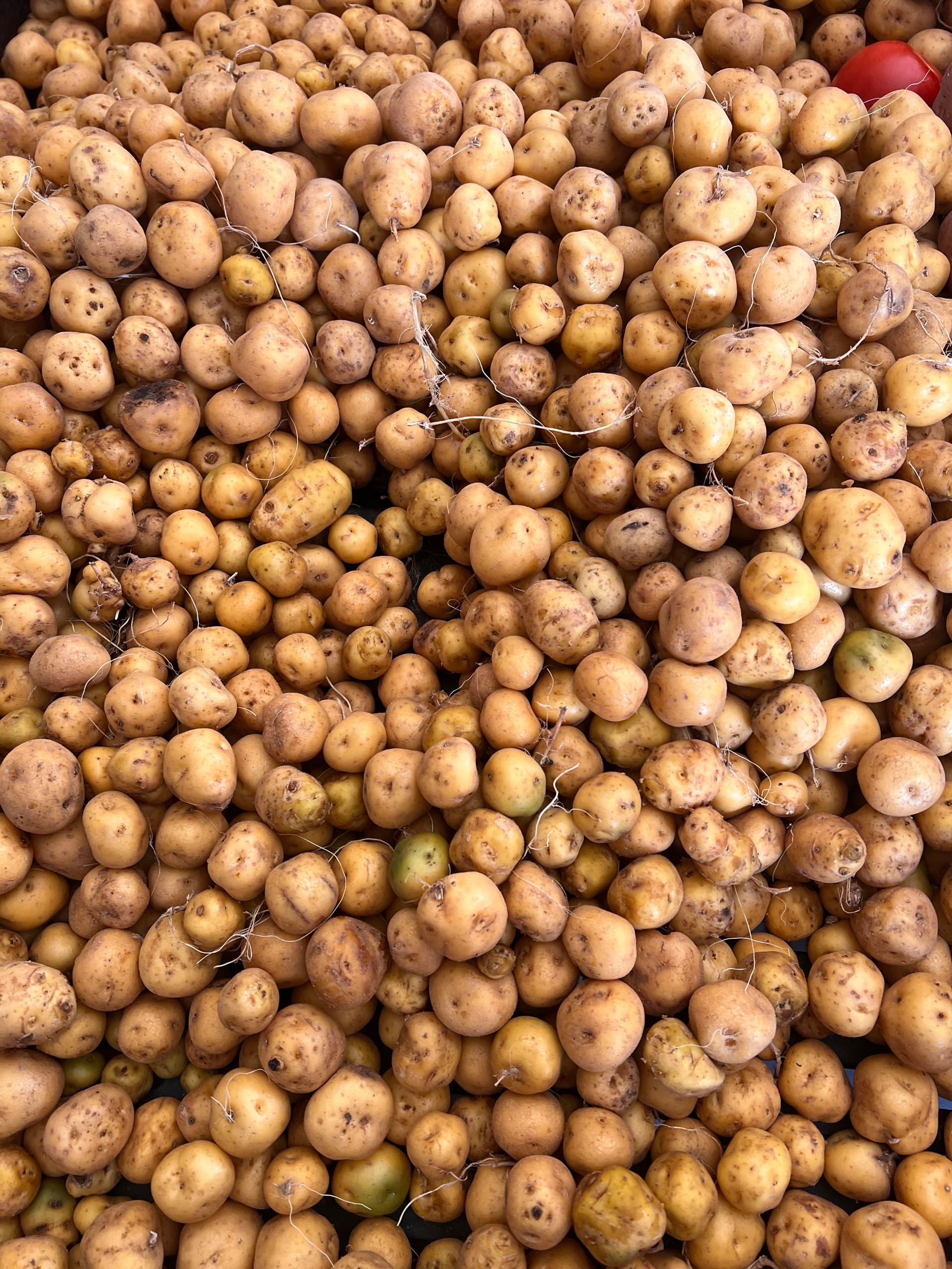 Traditional Colombian cooking with fresh local ingredients in Jardín